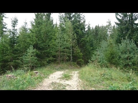 2017.08.06 Climbing the foothills Eberndorf, Lower Austria