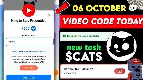 How To Stay Productive | CATS Code | 6 October 2024