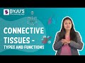 The Role of Blood and Connective Tissues in the Human Body
