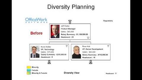 OrgChart Platinum Analytics Overview