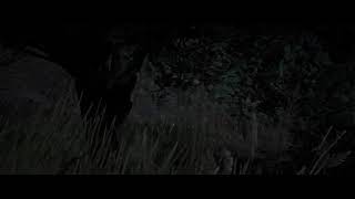 RDR2 Call to Arms MacFarlanes Ranch