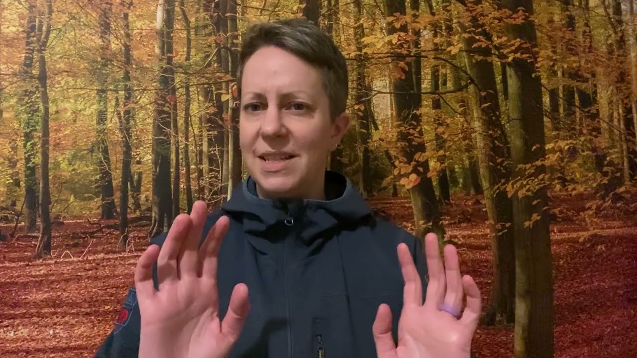 Downtime for Brain and Body