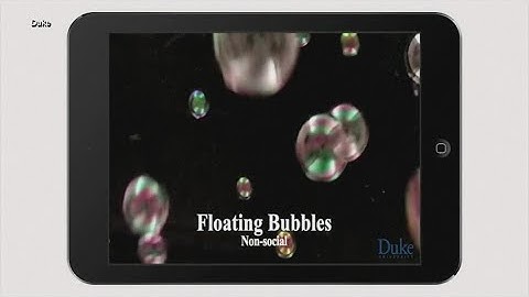 New app would help diagnose Autism in kids