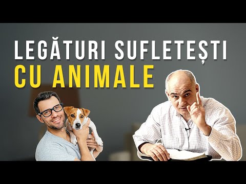 Există legături sufletești cu animalele? | Pastor Vasile Filat