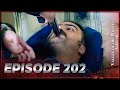 Valley Of The Wolves Ambush Episode 202 Full HD Valley Of The Wolves Ambush Episode 202 Full HD