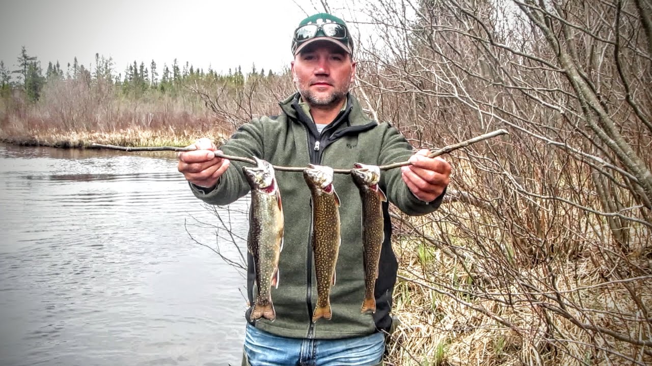 Trout Fishing Tips for Streams and Inland Lakes Billy Rosner YouTube