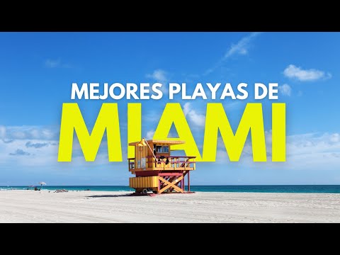 Video: Las mejores playas de Miami