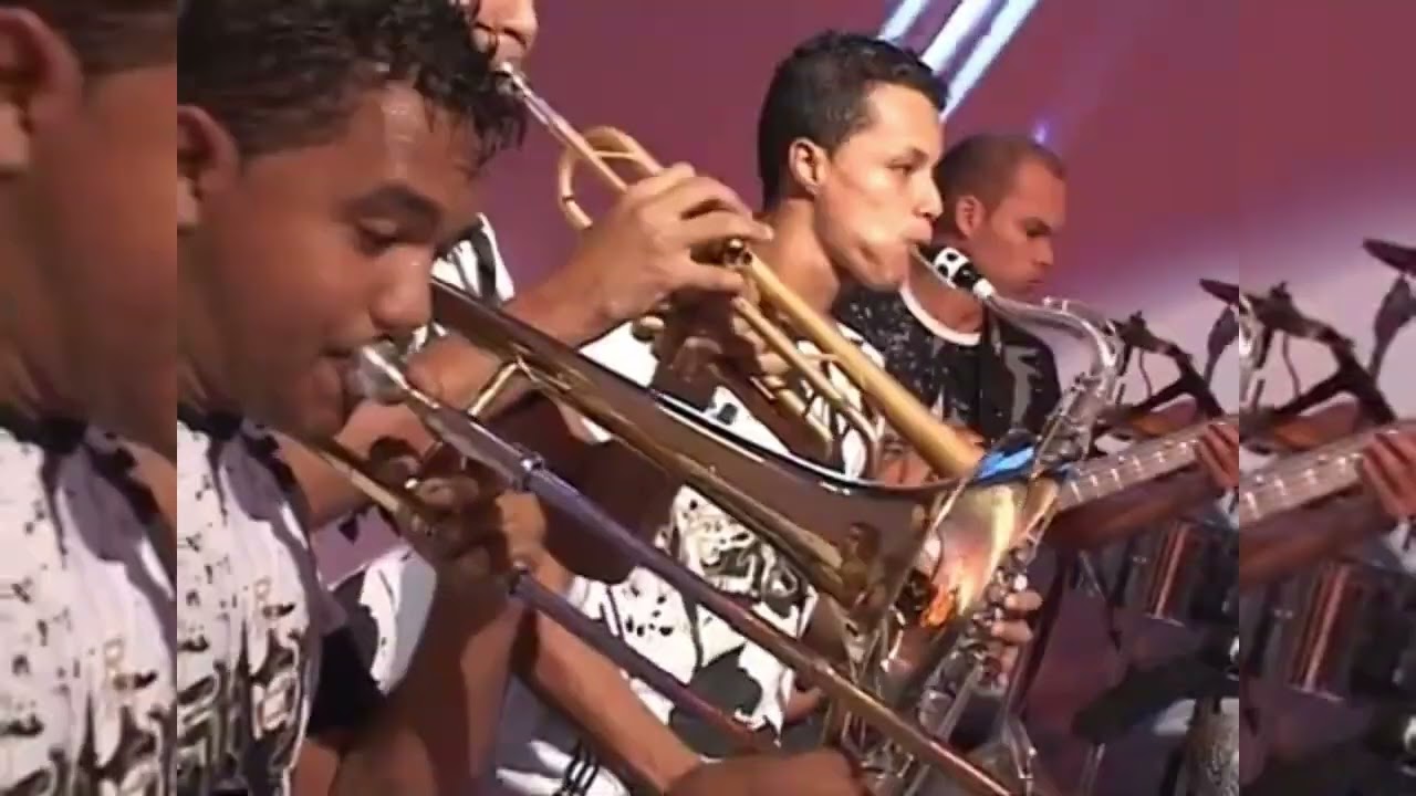 face nova - a dona do seu coração forró das antigas 