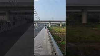 Birds come back on open sky 🦜✋🫵 #birds #shorts #viral #conure #reels #cute