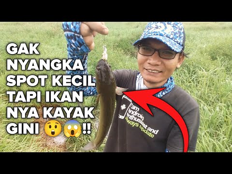 Mancing di atas rumput yang bergoyang