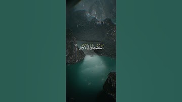 تلاوة عطرة للشيخ محمد صديق المنشاوي #قران_كريم #القران_الكريم #المنشاوي #لايك #اكسبلور #quran