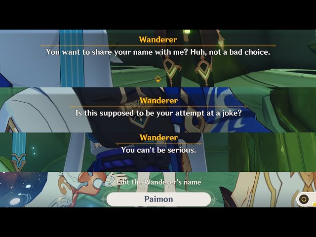 What Happen if you name Wanderer Ei, Dottore, Your IGN and many more! class=