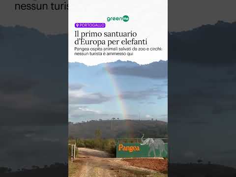 Video Il primo santuario dEuropa per elefanti