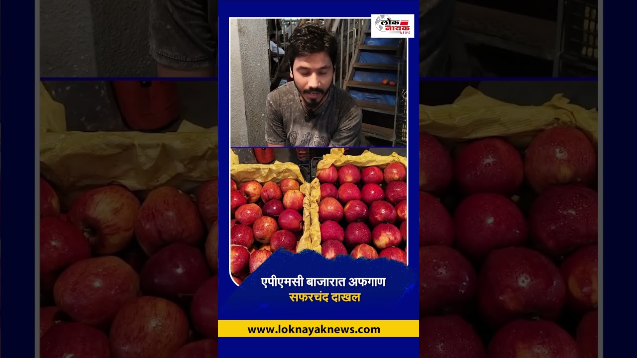 Navi Mumbai APMC Market Apple rate today एपीएमसी बाजारात अफगाण सफरचंद दाखल Afghanistan apple