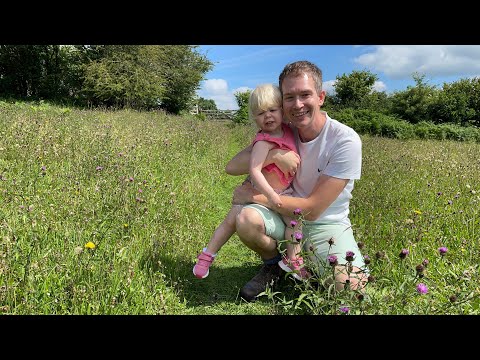 Among the wild flower meadows at Pentwyn Farm