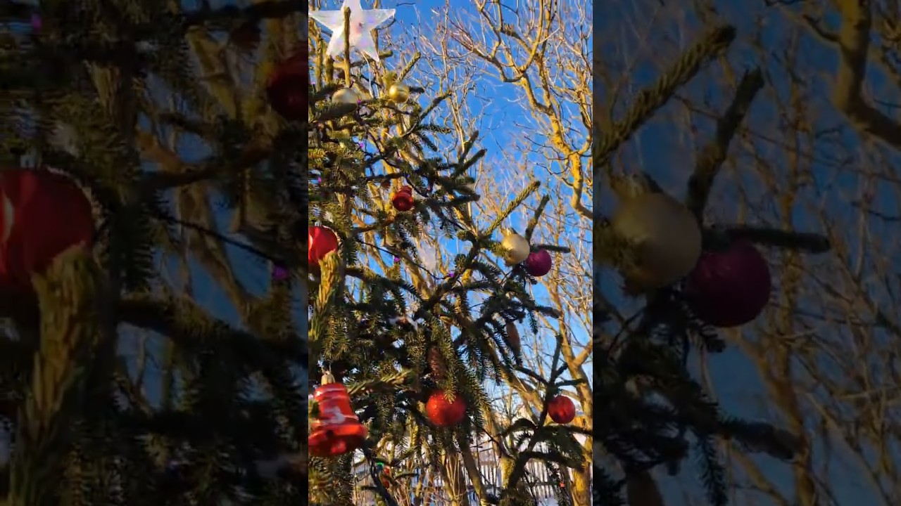 My Christmas tree 🎄🎀 song from #rokasyan & M1 / #christmas #christmastree #christmasdecor #snow