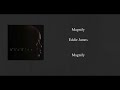 Magnify- Eddie James