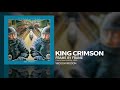 King crimson  frame by frame live in new york city 1995