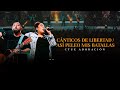 Cánticos de libertad - Así peleo mis batallas | Ctue Adoración | Disco Mi Esperanza