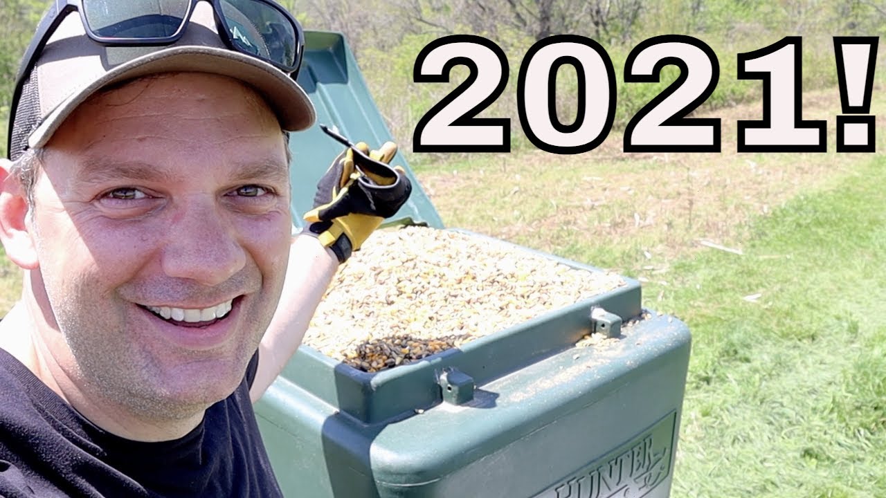 What To Feed Deer in 2021 YouTube