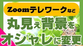 Zoomやテレワークなどに個人情報を隠す方法【Snap Camera】【Zoom背景の設定】