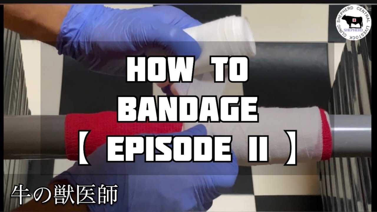 How To Bandage 】包帯とその巻き方 その2 - YouTube