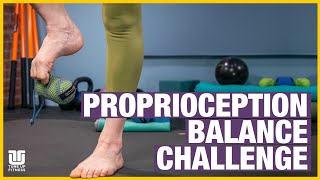 Proprioception Balance Challenge