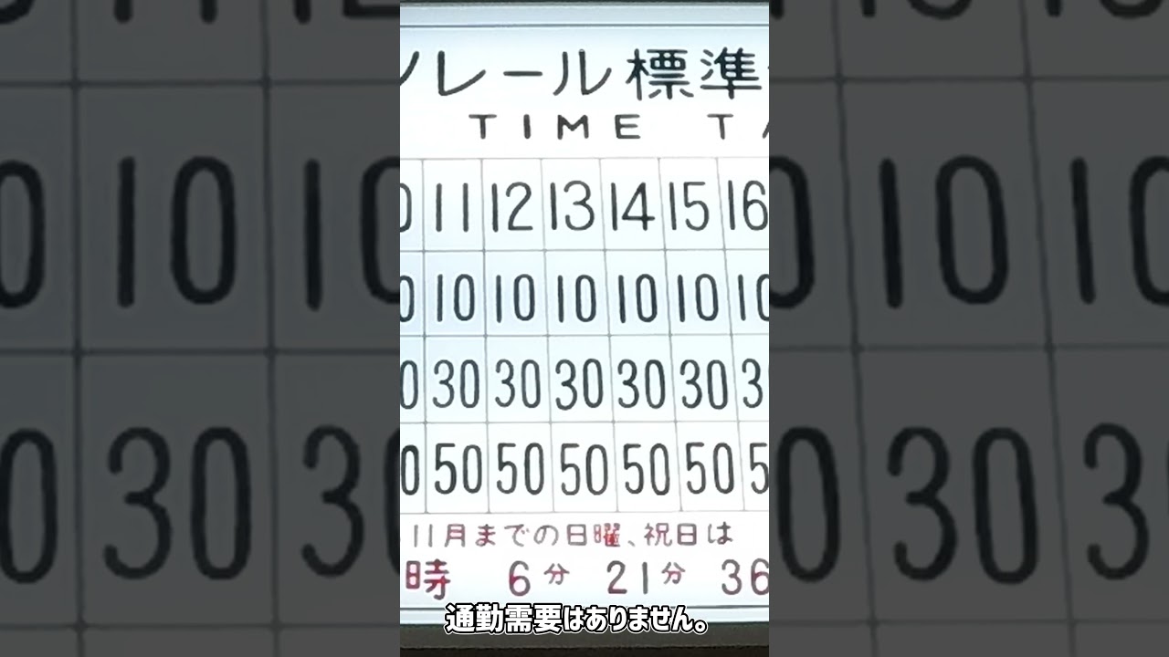 ヒメジシエイモノレールです。