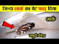 समुंद्री कीड़े इतने खतराक क्यों होते हैं ? WHY SEA WORMS ARE SO DANGEROUS ?