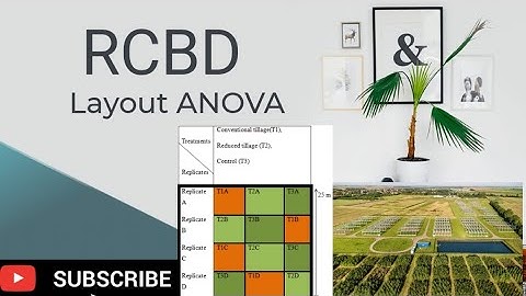 Randomize Complete Block Design (RCBD) Layout ANOVA with Example