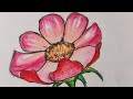 flower colour part 1#drawing #easy #painting #video #viral #art