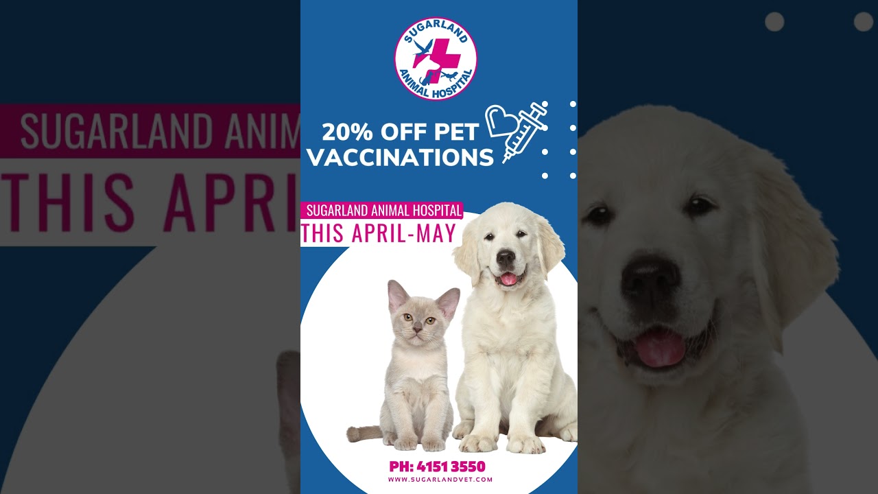 Look what Sugarland this Month can offer. 20% OFF on all pet vaccines.