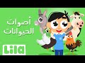 أصوات الحيوانات ليلا تي في 