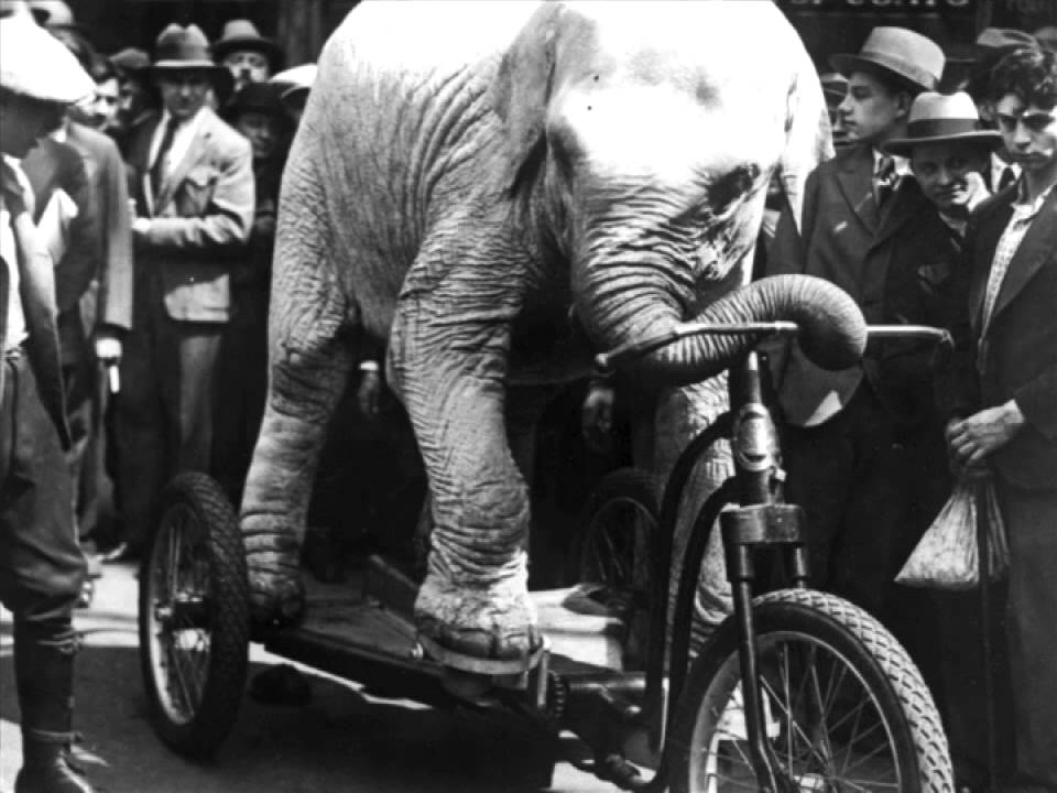 Exploring Invisible Traces in Historic Recordings