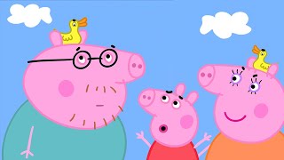 Daddy Pig's Duck 🦆 Best of Peppa Pig 🐷 Season 5 Compilation 24