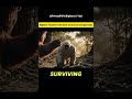 Bigfoot’s Jungle Survival Rule: Discipline Beats Heat 🌴🔥 | Bigfoot &amp; Yeti #shorts