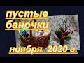 ПУСТЫЕ БАНОЧКИ НОЯБРЯ 2020 г.