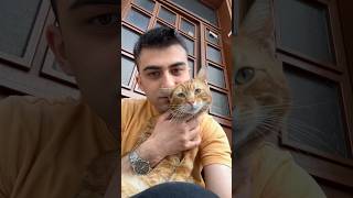 A Ginger stray cat thinks man wearing ginger colored tshirt is his father