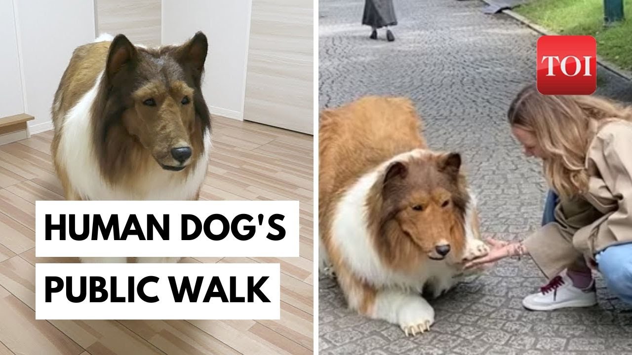 Dogs And People React To Man Wearing Super Realistic Dog Costume