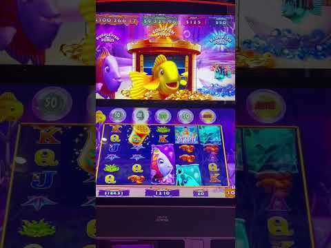 Persegu铆 el pez dorado y esto fue lo que pas贸 馃. #casino #apuesta #dragonlink #slots #gambling