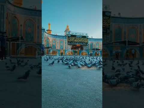 سلامي للحبيب وبهجة انوارة