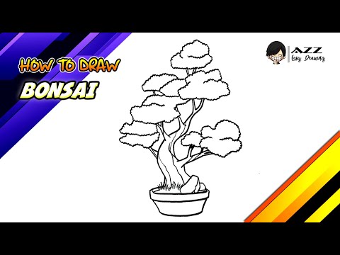 How to draw a Bonsai Tree