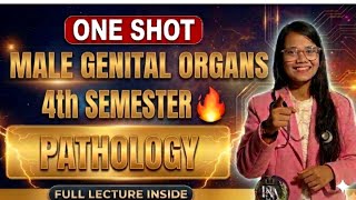 Male Reproductive System Pathology One Shot | B.Sc Nursing 4th Semester | Cryptorchidism, BPH