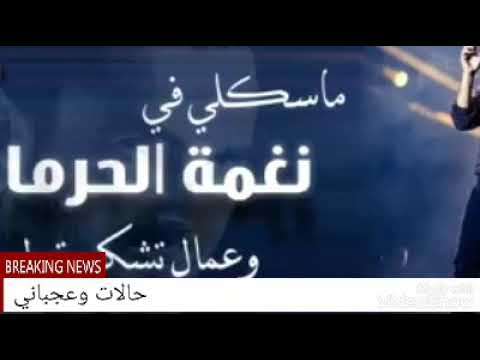 ماسكلي في نغمة الحرمان عمرو دياب