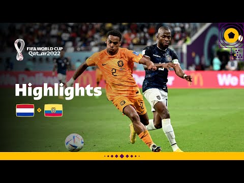 Gakpo and Valencia strike | Netherlands v Ecuador | FIFA World Cup Qatar 2022