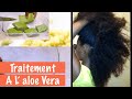 L' aloe Vera Pour Faire pousser Les Cheveux | Ritini