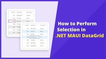 How to Perform Selection in .NET MAUI DataGrid
