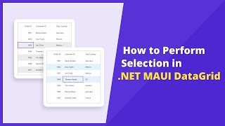 How to Perform Selection in .NET MAUI DataGrid