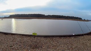 The best pike perch catch was ruined by SHUGA / 🎄 Happy New Year! Friends! / The story of how Owl... screenshot 5