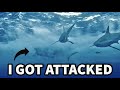 I GOT BIT BY A SHARK ON SHARK WEEK (JACKASS 4)